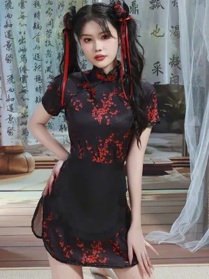 Chinese Traditional Qipao Dress
