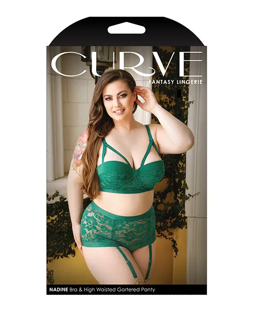 Plus Size Bra. Panty and Garters